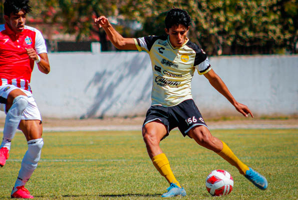 156 Mirsha Jesus Herrera Gastelum