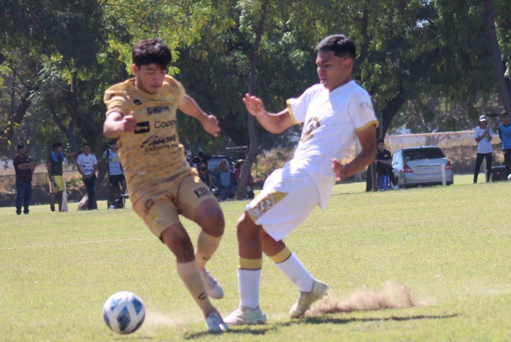 Brayan Jesus Beltrán