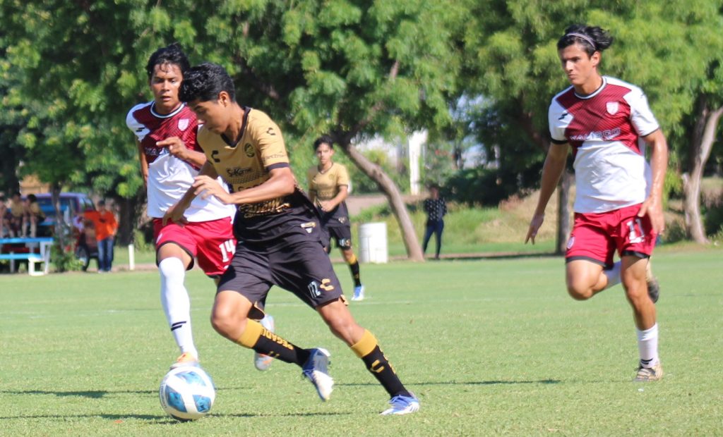 Antonio arellano ante xalisco