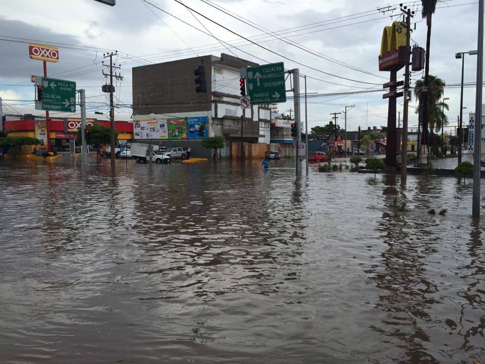 Rosales e independencia