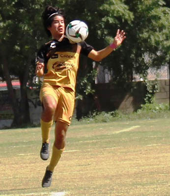 jimy 2