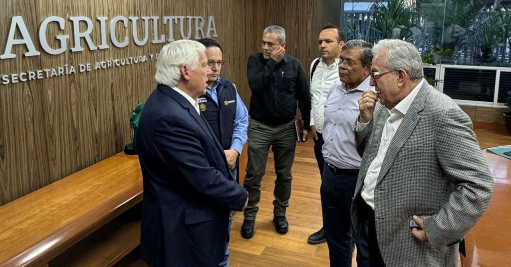 MAIZ PRECIO ACUERDO