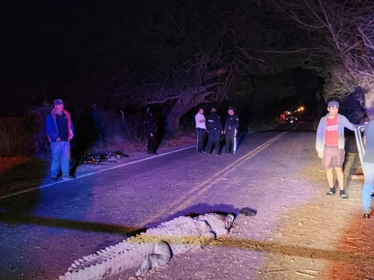 f768x1 779041 779168 31