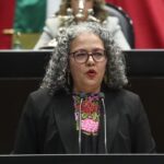 PERFIL POLITICO DE GRACIELA DOMINGUEZ NAVA