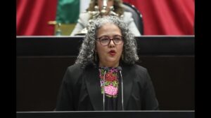 PERFIL POLITICO DE GRACIELA DOMINGUEZ NAVA