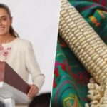 ANUNCIAN INCENTIVOS A MAICEROS DE SINALOA PARA OTOÑO-INVIERNO