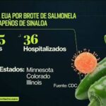 NO HAY RIESGO DE EXPORTACION HORTICOLA DE SINALOA POR CASO DE SALMONELA